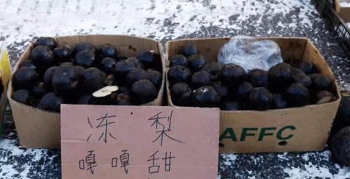 小伙网购东北冻梨，暴殄天物！东北网友看后笑趴 这才是正宗吃法